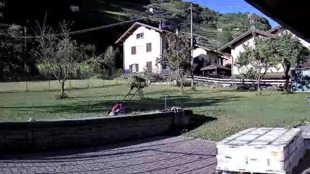 Joy Valtellina Per Amanti Degli Animali Hotel Tresenda Ngoại thất bức ảnh